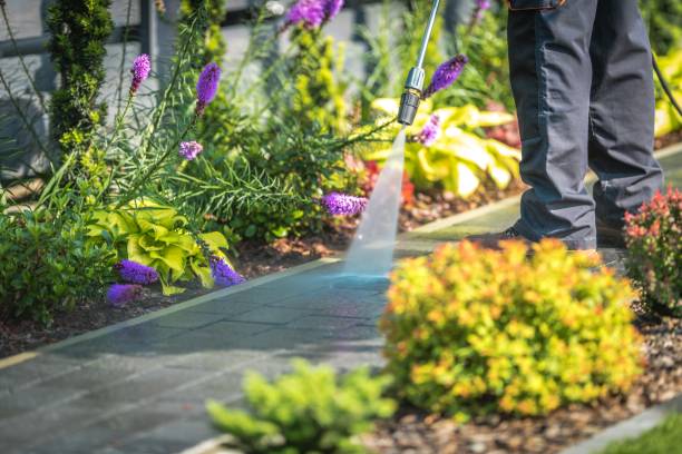 Best Commercial Pressure Washing in Grifton, NC
