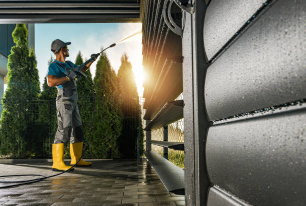 Best Soft Washing for Delicate Surfaces in Grifton, NC